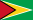 Bandera Guyana 